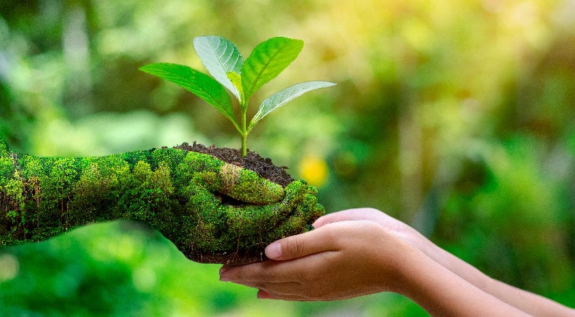 DÃ­a Mundial del Medio Ambiente - 05 de Junio